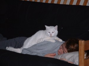 Powder and Lladro