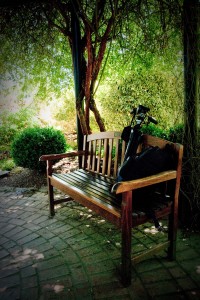 Rest Stop for a Sunny Day