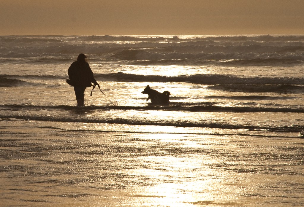 Einstein at the Coast and More (207 of 349)-4