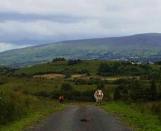 cwwcows